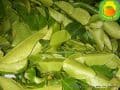 Fruit powder from bergamot leaves Kaffir lime002