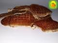 pattaya dried meat135