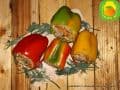dostavka edi v Thailande Pattaya 111 dostavka edi v Thailande Pattaya 111